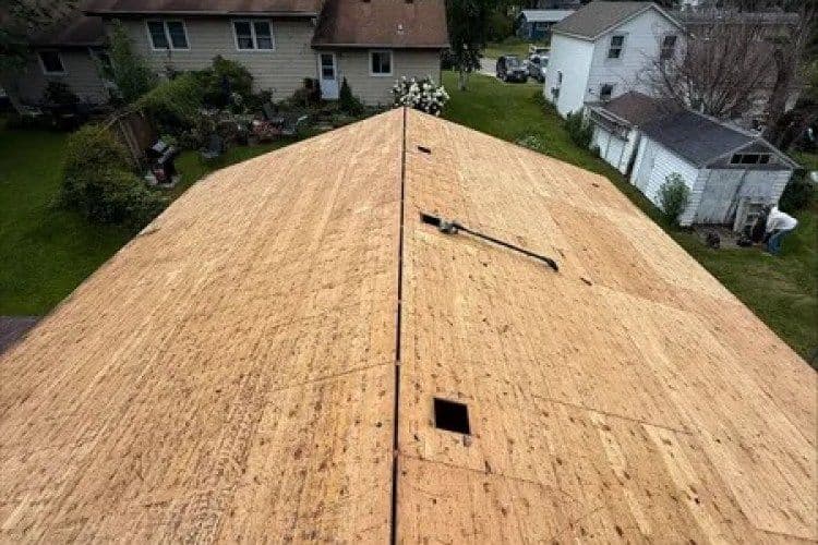 Roofing project with new plywood installation on residential house, showing overgrown yard.